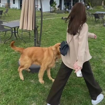 换乘恋爱第三季